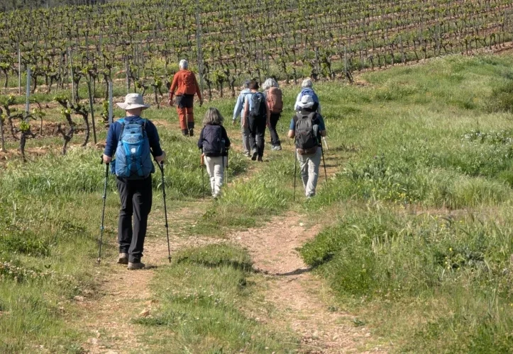Les belvédères du Rayol — photo 4